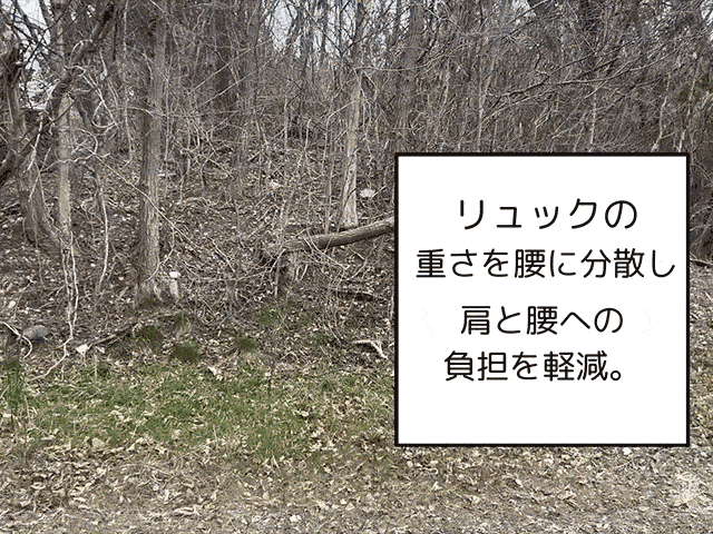 2.gif__PID:85c7d2d1-36ed-4b7b-a470-bf047d8c2a13