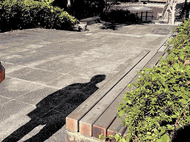 IMG_2253.gif__PID:7ba470bf-047d-4c2a-93e5-5a5ec8abbbfa